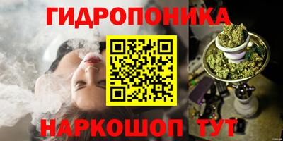 a pvp Обь