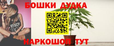 шишки Обнинск