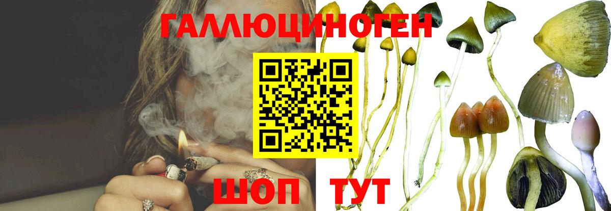 купить  сайты  Вход с VPN  Тобольск  Псилоцибиновые грибы прущие грибы  Галлюциногенные грибы Magic Shrooms 
